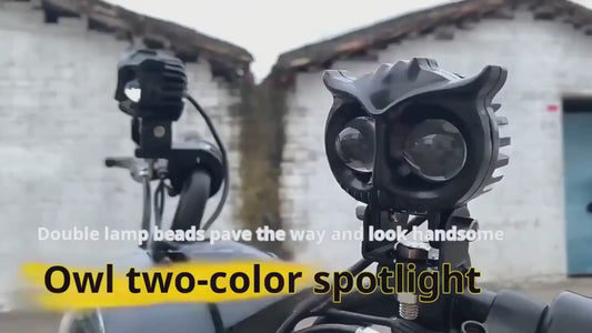 Owl Eye LED Fog Lights – Ride with a Fierce Glow! 🦉✨